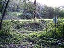 Mossy Glen